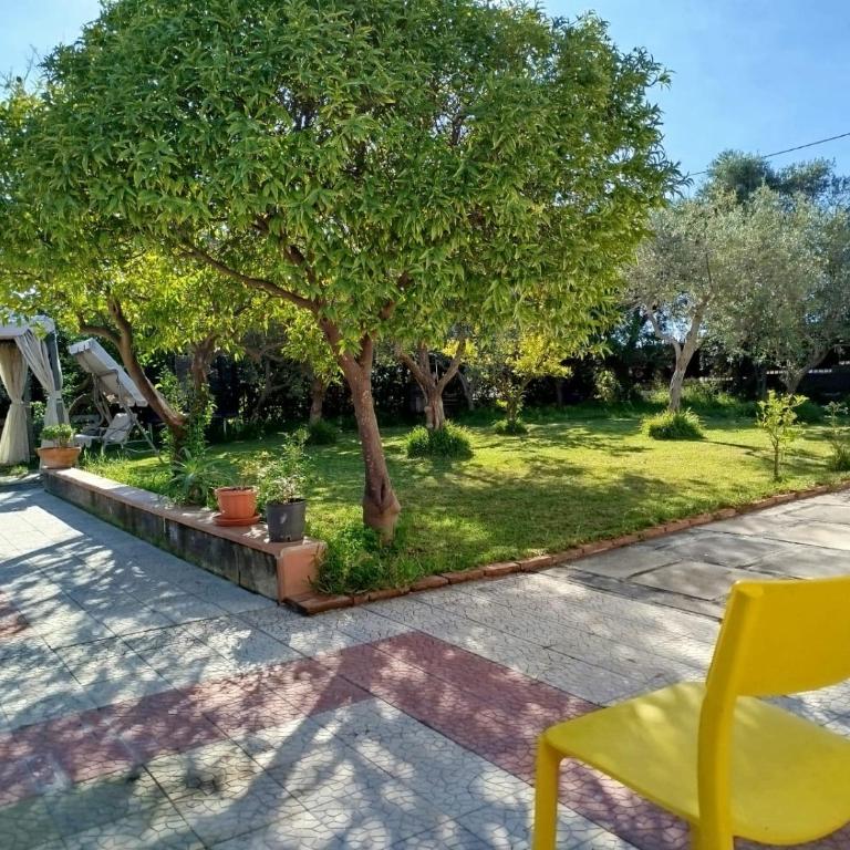 Ai tre desideri la casita - Casa con 1 Camera da Letto - 55