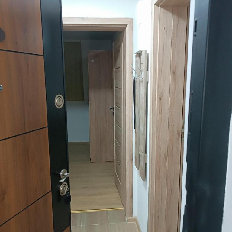 Apartmani Moskva - Apartman sa 1 Spavaćom Sobom - 4