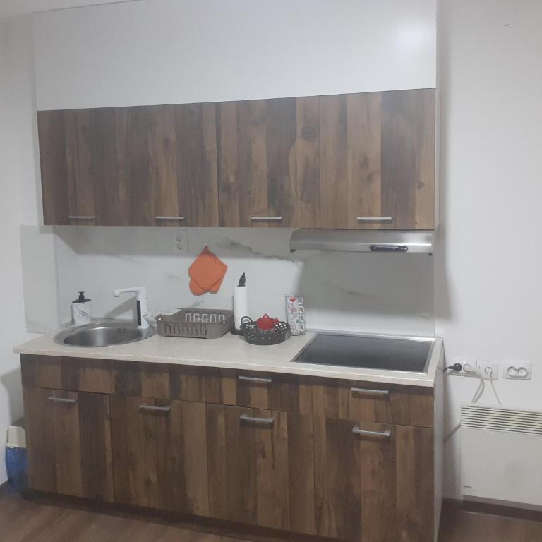 Apartmani Moskva - Apartman sa 1 Spavaćom Sobom - 3