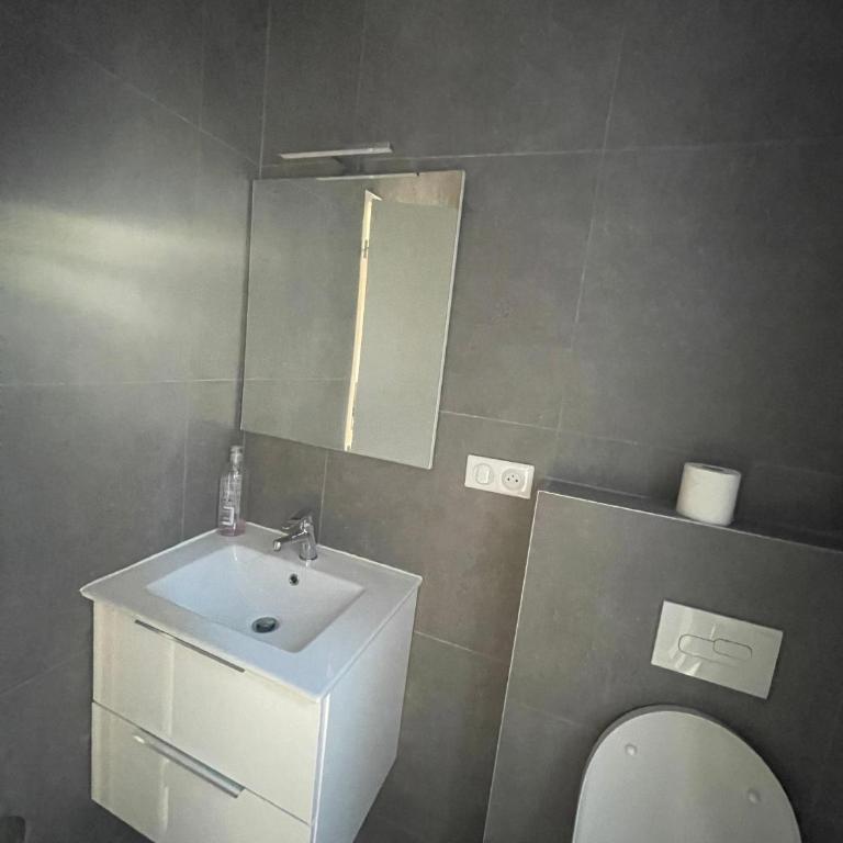 Nancy Cozy Lodge - Appartement 1 Chambre - 9