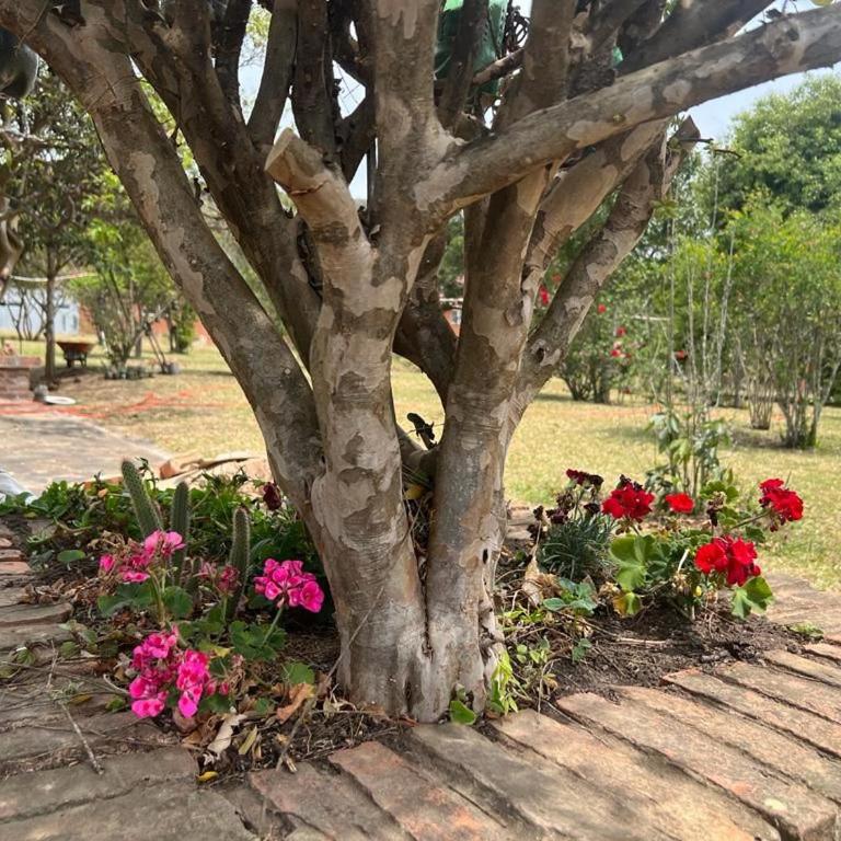 Como en Familia - Casa con 1 dormitorio - 13