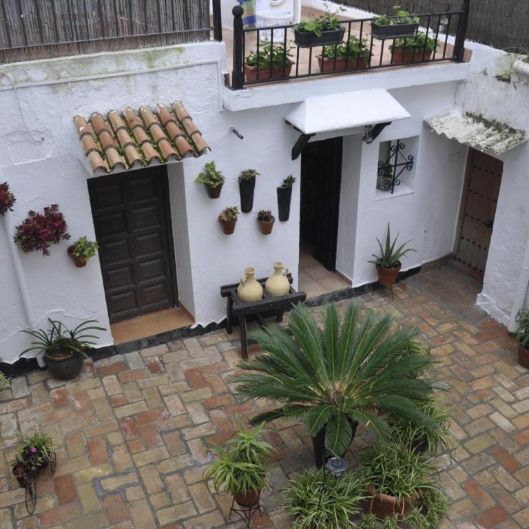 Casa Andrea la Abuela - Apartamento - Planta baja - 10