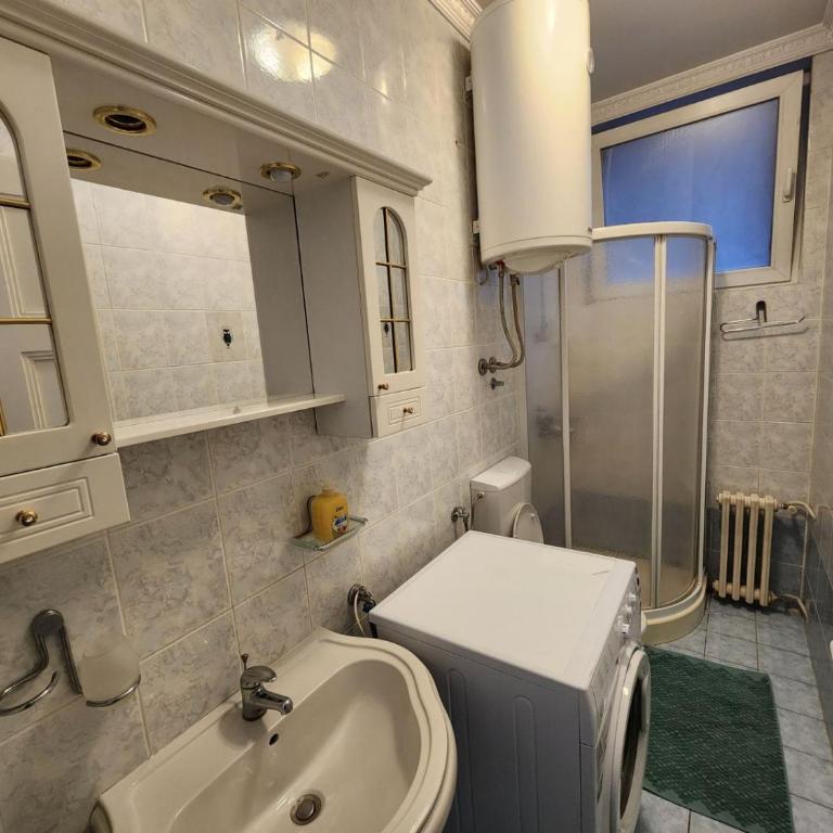 Authentic Belgrade Centre Apartment #3 - Apartman s 4 Spavaće Sobe i Terasom - 17