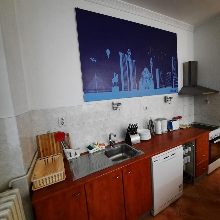 Authentic Belgrade Centre Apartment #3 - Apartman s 4 Spavaće Sobe i Terasom - 10