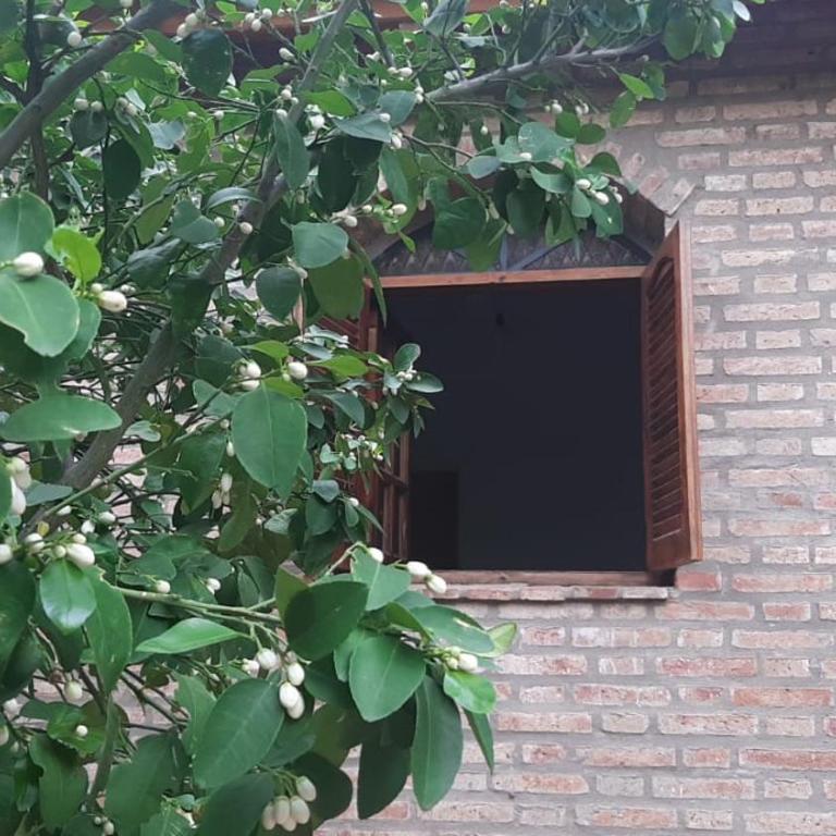 Aquicho - Casa de 3 dormitorios - 8