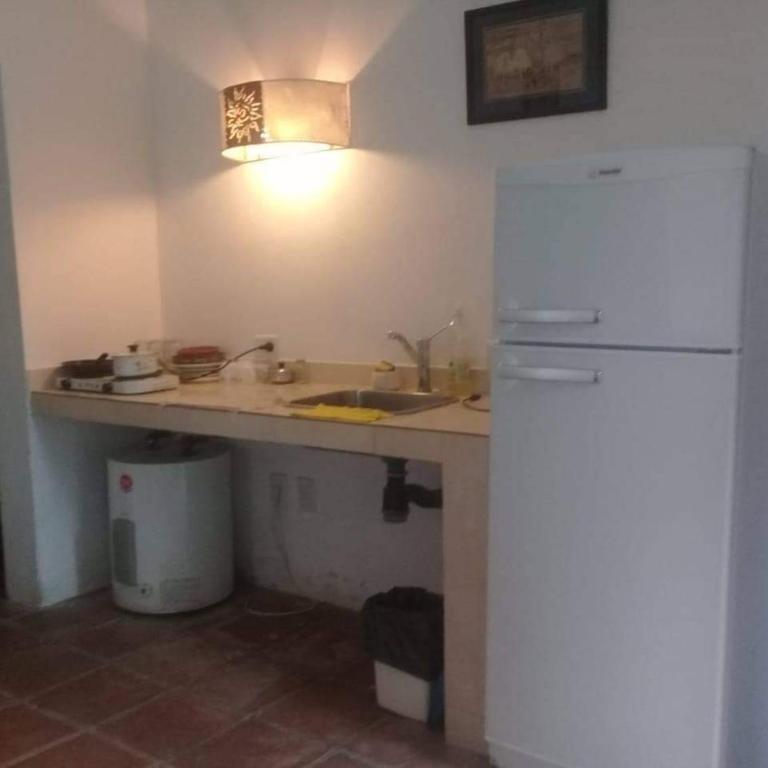 COQUENA cabañas - Apartamento de 1 dormitorio - 8