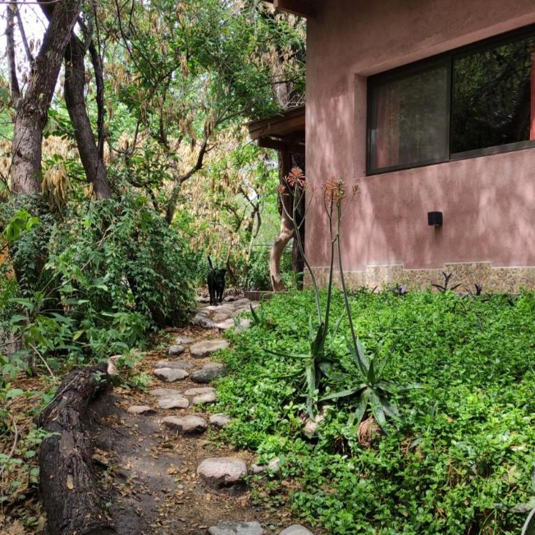 Casa Luz y Armonía - Apartamento de 1 dormitorio - 2