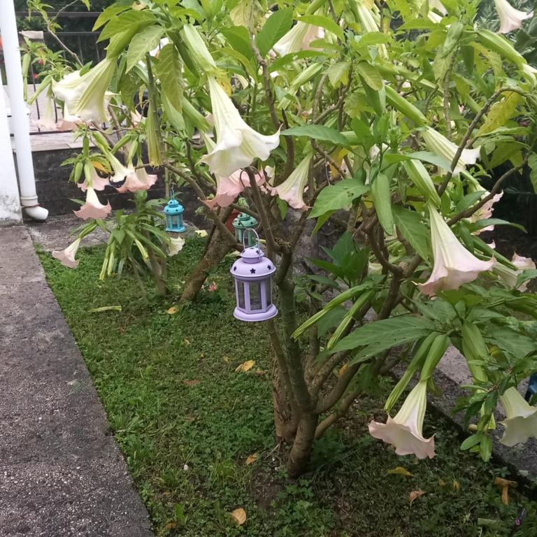 Holiday home Bokokotorski zaliv - Kuća sa 4 Spavaće Sobe - 32