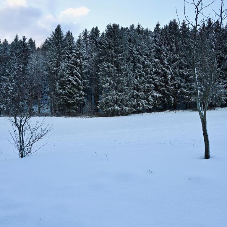 ALOHA Suites - Alp LOdge HAus - Apartment mit 2 Schlafzimmern mit Balkon und Terrasse - 27