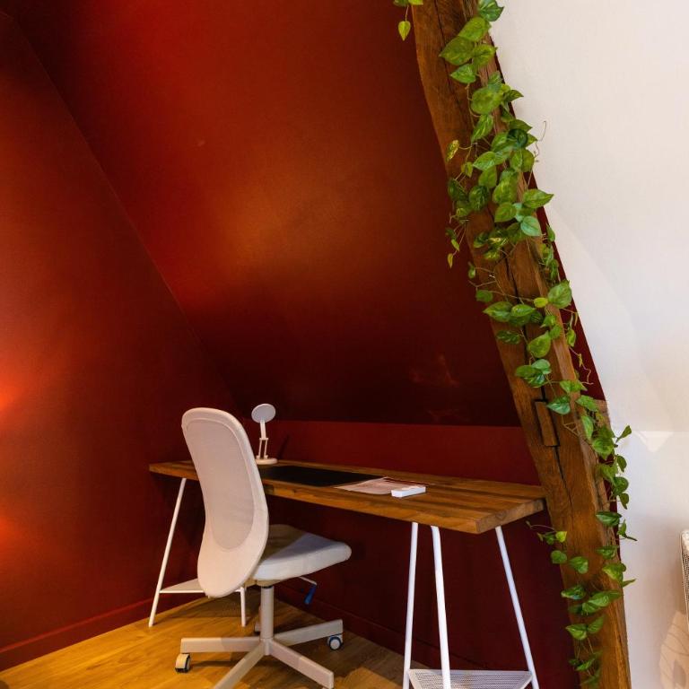 Le Petit Domaine - Centre Ville - Appartement 1 Chambre - 16