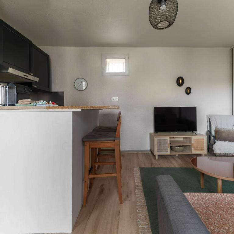 Grande Maison Clermont - Appartements centre ville - Appartamento con Balcone - 26