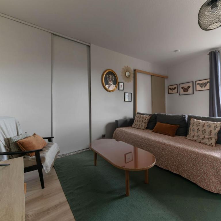 Grande Maison Clermont - Appartements centre ville - Appartamento con Balcone - 15