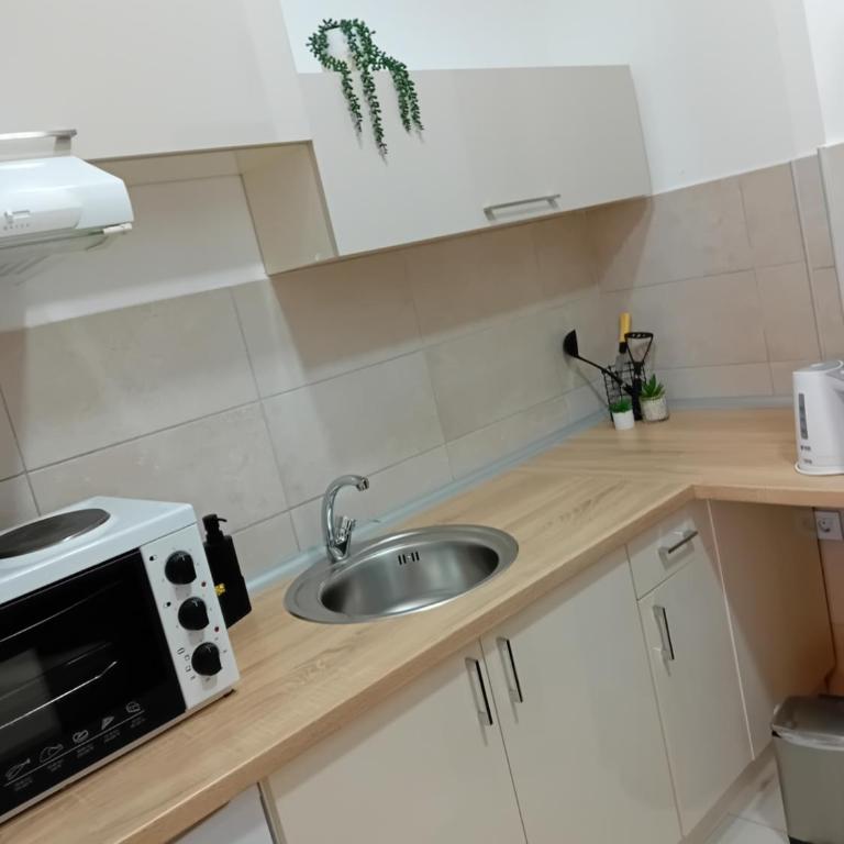 Apartman N Jagodina - Apartman sa 1 Spavaćom Sobom - 13