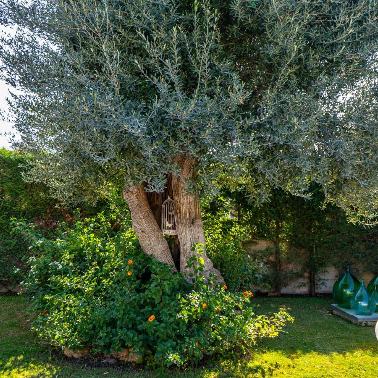Villa Lady Esse - Piscina privata a Polignano - Villa con 2 Camere da Letto - 7