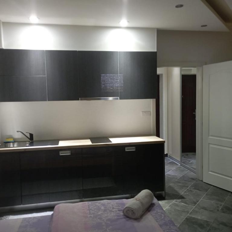 Apartman BOKA - One-Bedroom Apartment - 7