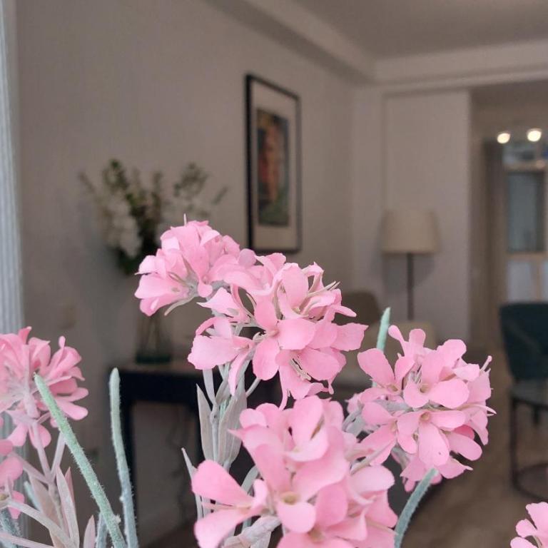 Callejón de la Luz - One-Bedroom Apartment - 14