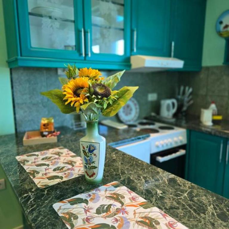 Adel's - Apartman sa 1 Spavaćom Sobom - 18