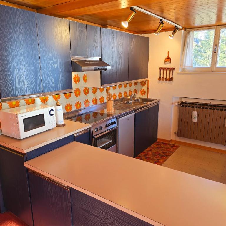 Le Vette di Moena - Alpine Stay Apartments - Appartamento con 2 Camere da Letto e Vista Città - 11