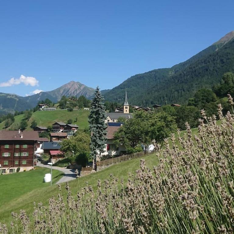 Chez Sophie Aletsch - Binntal - Apartment mit 2 Schlafzimmern - 4