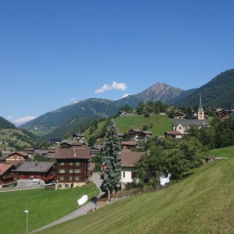 Chez Sophie Aletsch - Binntal - Apartment mit 2 Schlafzimmern - 9