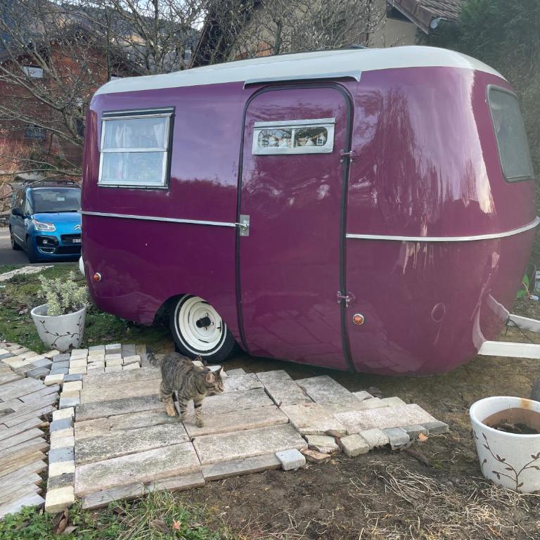 Salève Glamping - Tente - 8