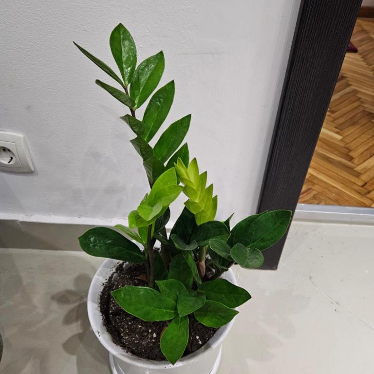 Komforan, moderan apartman Mary - Apartman sa 1 Spavaćom Sobom - 15