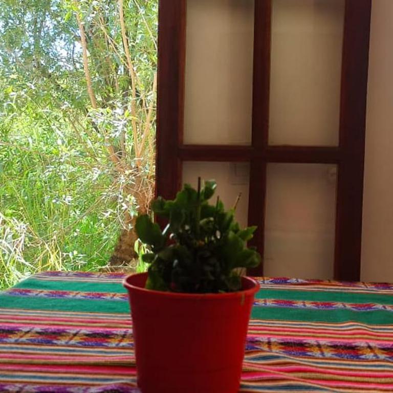 Shambhala - Apartamento de 1 dormitorio - 4