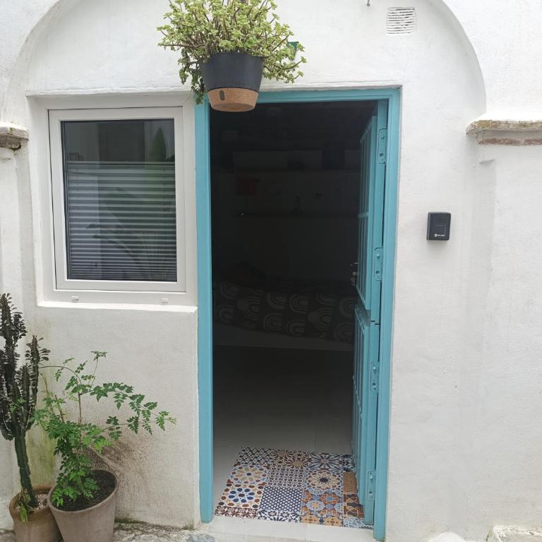Estudio centro con Jardín compartido - Apartamento de 1 dormitorio - 17