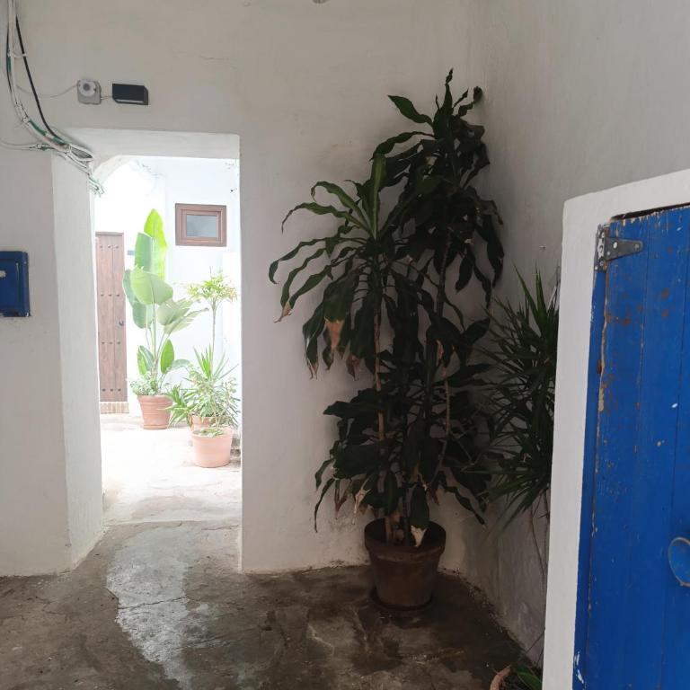 Estudio centro con Jardín compartido - Apartamento de 1 dormitorio - 14