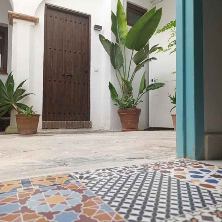Estudio centro con Jardín compartido - Apartamento de 1 dormitorio - 13