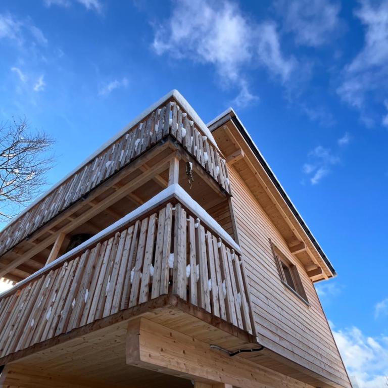 Wald ist Zukunft - Baumhaus Eule - 18