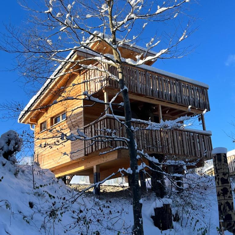 Wald ist Zukunft - Baumhaus Eule - 23