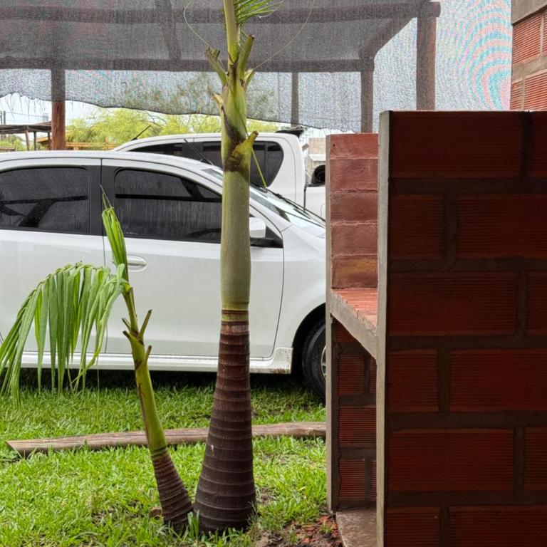 Tu lugar de Descanso - Apartamento de 2 dormitorios - 7