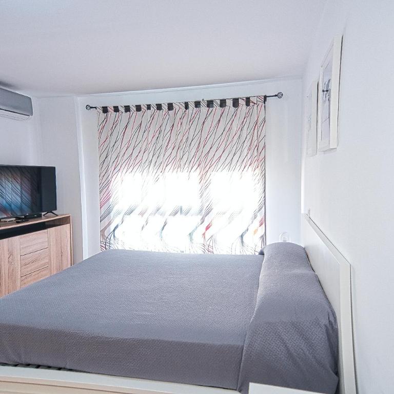 Apartment Jilguero Sunny - Studio with Pool View - 10