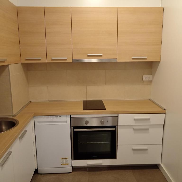 Central Garden M - Apartman sa 1 Spavaćom Sobom - 15