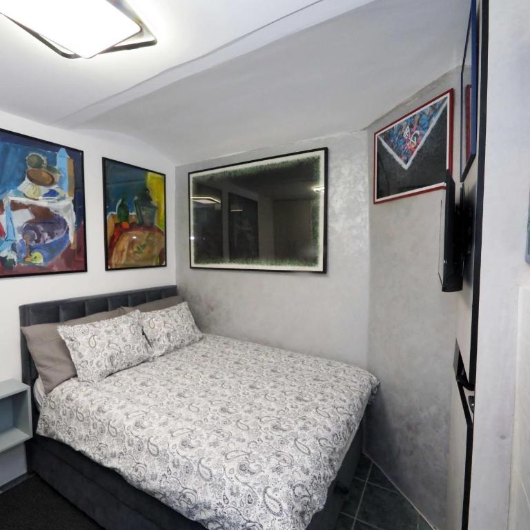 Central Mini Spot - Apartman sa 1 Spavaćom Sobom - 1