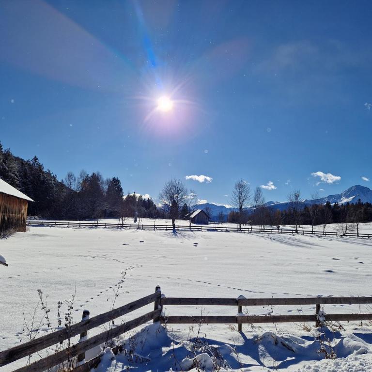 Wohlfühl-Appartement Bergsee FAMILY - am Wildsee - SUP und Schlitten for free - Apartment mit Seeblick - 52