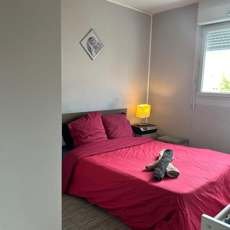 Strasbourg Apartment with parking - Appartement 2 Chambres - 15