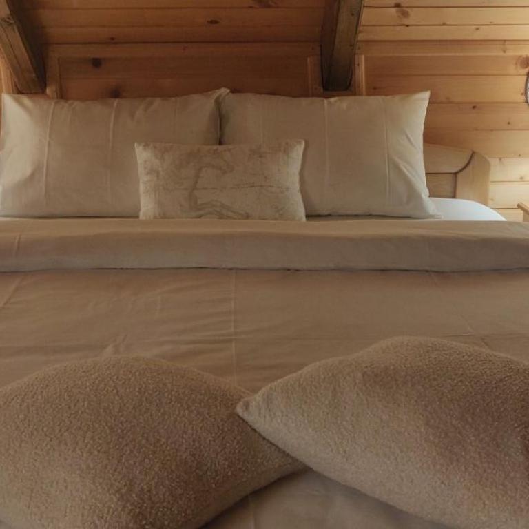 Lodge House Tara - Brvnara sa 3 Spavaće Sobe - 43