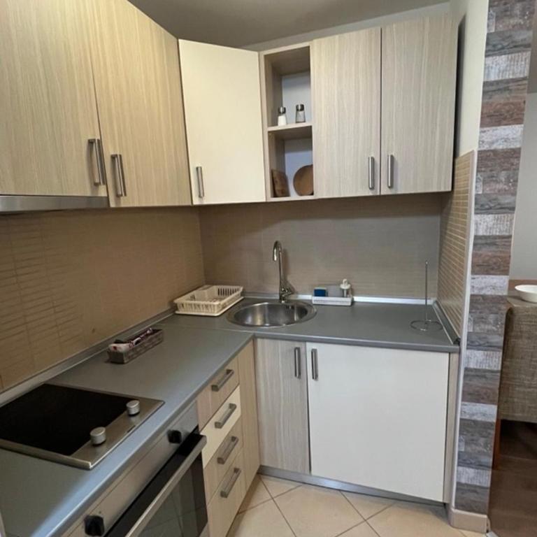 Apartmani vila Elena - Apartman sa 1 Spavaćom Sobom - 6