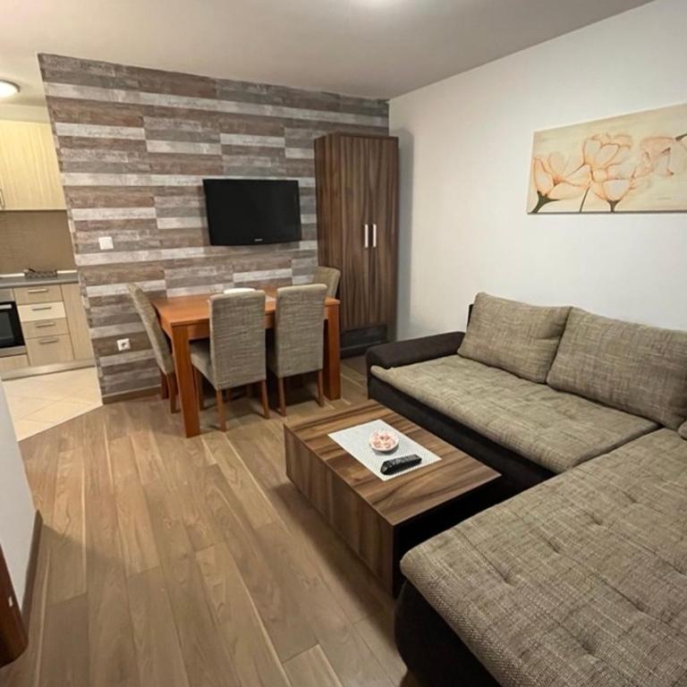 Apartmani vila Elena - Apartman sa 1 Spavaćom Sobom - 4