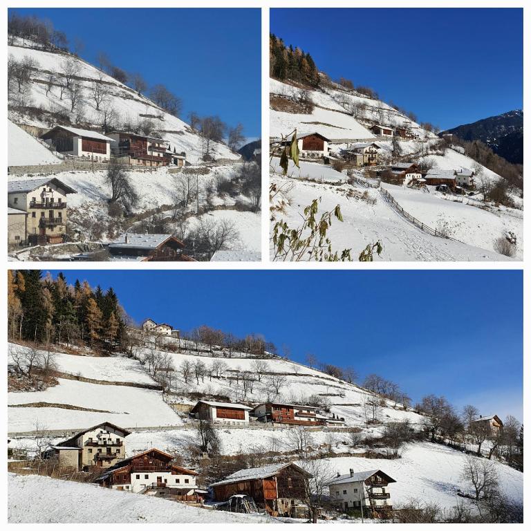 WASCHERHOF - Apartment Oberhofer - Apartamento de 2 dormitorios - 34