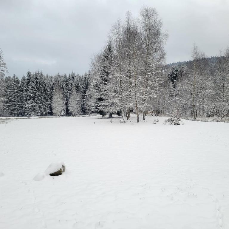 Chalet à louer, Spa, sauna, billard, gerardmer - Chalet - 45