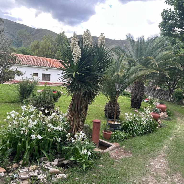 Estancia Don Ramiro - Four-Bedroom House - 9