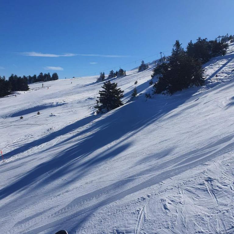 Apartman Snow Heaven Kopaonik - Studio Apartman s Balkonom - 9