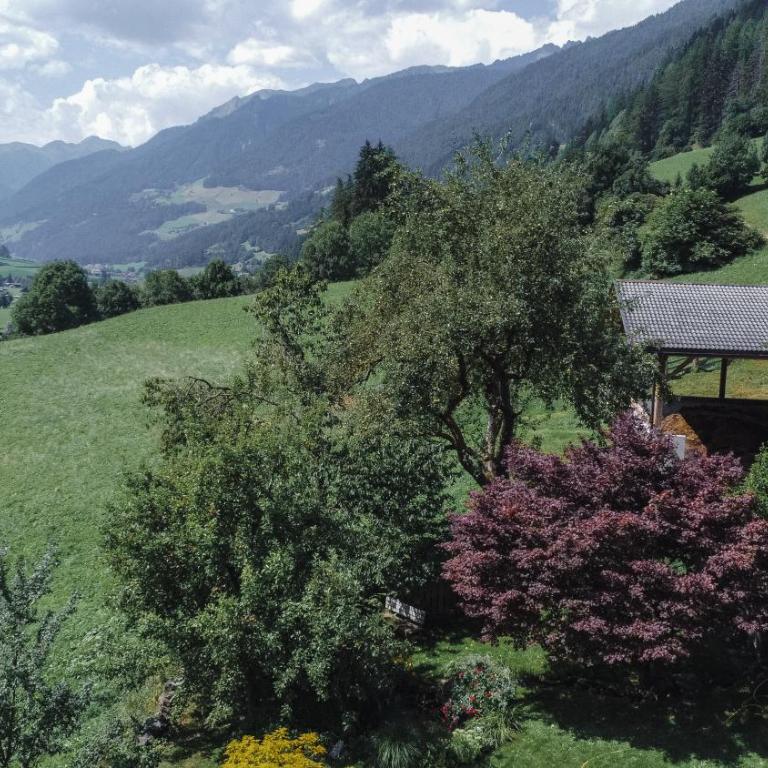 Oberlinderhof - Apartamento con balcón - 4