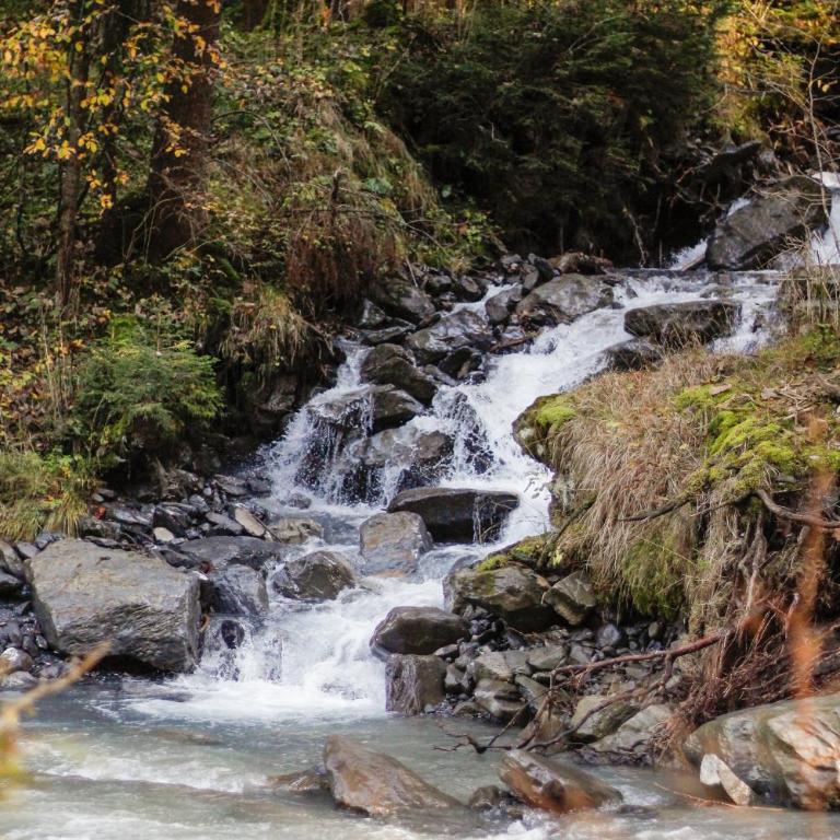 Nature hideaway at Ferme a Marius - Chalet 3 Chambres - 47