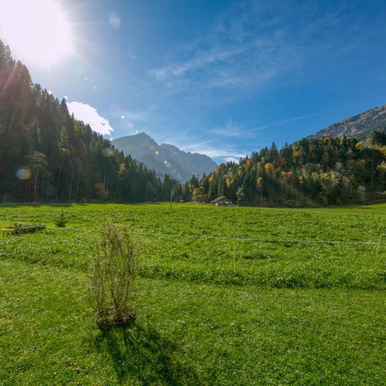 Nature hideaway at Ferme a Marius - Chalet 3 Chambres - 33