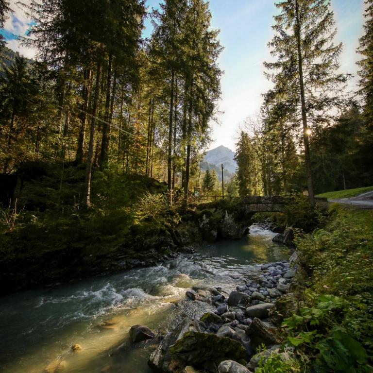 Nature hideaway at Ferme a Marius - Chalet 3 Chambres - 49