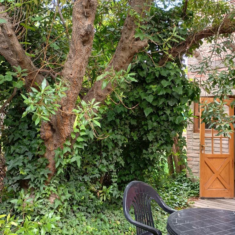 los pepes - Apartment - Split Level - 15